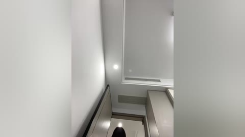 Media: Video of a modern, minimalist hallway with a narrow staircase, white walls, and a single recessed light. The perspective is from the bottom looking up, revealing a sleek, contemporary design.