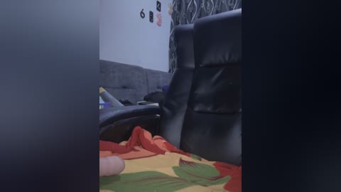 Video of a dimly lit room with a black leather chair, a colorful blanket with green leaves, and a black bed with a white pillow. The background features a white wall with a few scattered objects and a black curtain.