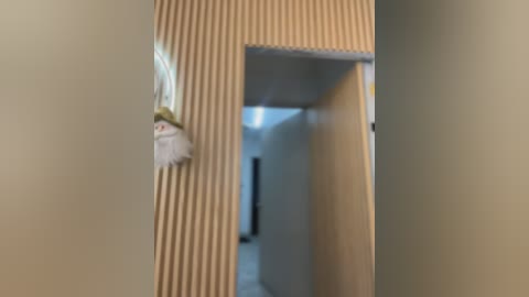 Video of a narrow hallway with beige vertical-striped wallpaper. A small, white, fluffy cat is visible on the left, peering through the doorway. The background shows a dimly lit room with a white door and a rectangular window.