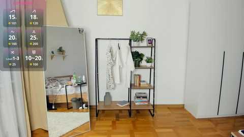 Video of a minimalist, modern bedroom with a mirror, wooden floor, white walls, and a black metal shelving unit holding clothes and plants.