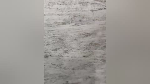 Video of a textured, vertical, light gray wall with a marbled, speckled pattern resembling wood grain, creating a rustic, industrial aesthetic.