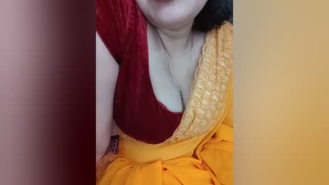 A close-up video of a woman's upper body in traditional Indian attire, featuring a maroon blouse and yellow sari with intricate golden patterns. The image is partially obscured by shadows, focusing on the neckline and upper chest.