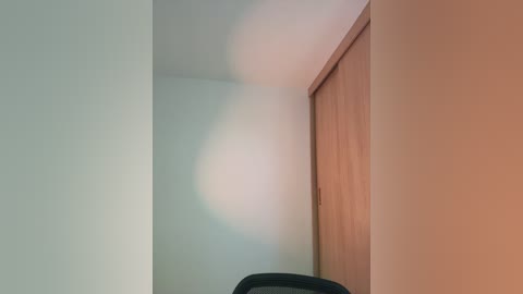 Video of a minimalist interior corner with a beige wall and wooden door, illuminated by a soft, warm light, creating a serene and clean atmosphere.