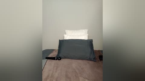 Video of a minimalist bedroom with a gray bedspread, white pillows, and a black vibrator on the bed. The walls are plain and light gray.