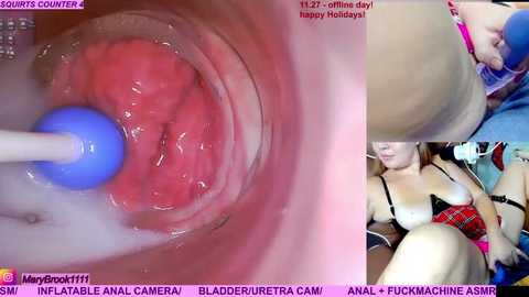 Video of a close-up of a woman's vagina being penetrated by a blue vibrator, with another image showing her in a black and red plaid bra, captioned \"Happy Holidays\" and \"FUCKMACHER ASMP.\