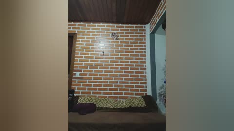 Video of a small, cozy room with a brick wall, wooden ceiling, and a green-patterned sofa. A purple blanket and a small plant are on the sofa.