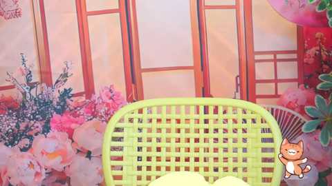 Video of a bright, floral-patterned backdrop with a neon yellow plastic chair in the foreground, featuring a cartoonish cat in the bottom right corner.