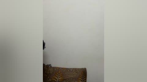 Video of a white wall with a small, dark hole in the center, partially covered by a brown, patterned cushion featuring leaf designs.