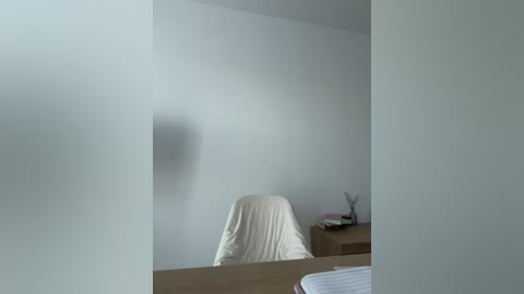 Video of a minimalist office room with a white chair, wooden desk, and a small decorative plant on a side table, soft light, and a faint shadow on the wall.
