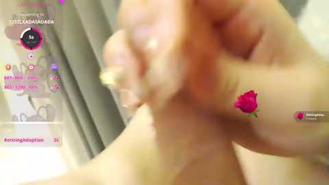 A blurred, close-up video of a hand holding a red rose, with a virtual camera interface in the background displaying the username \"Katerina\" and a number of social media icons.