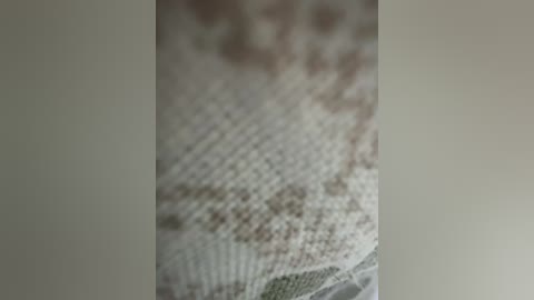 Media: Video of a delicate, white lace fabric with intricate patterns, partially obscured by a blurred, off-white background. The lace texture is finely detailed, showcasing fine threads and floral motifs. The image emphasizes the soft, ethereal quality of the fabric.