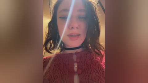 Video of a young person with shoulder-length brown hair, wearing a black choker and a red knit sweater. They have a neutral expression, with a slight smile. The background is blurry, suggesting an indoor setting.