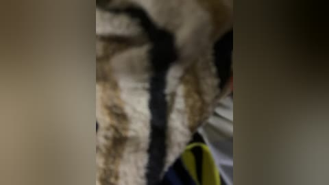 A blurry video of a person wearing a fur coat with black and white stripes, standing in a dimly lit room. The image is grainy and out of focus, making it difficult to discern details.