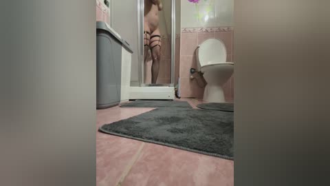 A video of a small bathroom with pink tiles, a white toilet, a gray trash can, and a black bathmat on the floor.