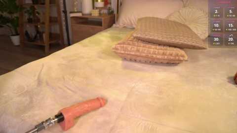 A video depicting a beige bed with a textured headboard, a pile of textured pillows, and a pink vibrator resting on the bedspread, set in a cozy bedroom with wooden furniture and a green plant.
