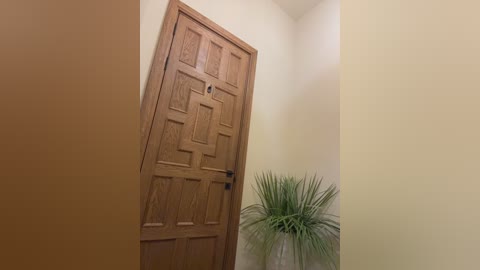 Video of a brown wooden door with a rectangular glass panel, leaning against a beige wall. A green potted plant with tall, spiky leaves stands beside the door. The room has a minimalist, warm decor.