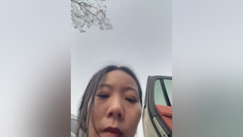 Video of an Asian woman with long, dark hair, wearing makeup, standing in a parking lot. Her face is partially obscured by a blurred, frosted window. A car's side mirror is visible in the background.