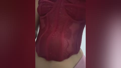 Video of a close-up of a woman's torso in a sheer, deep red corset. The corset accentuates her waist and curves, with her bare skin partially visible through the fabric. The background is a gradient of dark reds and purples, creating a sensual, intimate atmosphere.