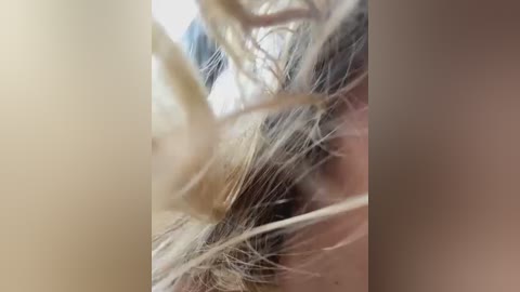 A close-up video of a person's hair, showing light blonde strands intertwined with dark strands, creating a natural, tousled texture. The image focuses on the hair's individual strands, highlighting the contrast between light and dark shades.