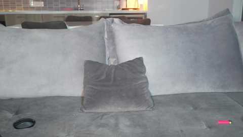 Video of a modern, light gray sectional sofa with a plush texture, featuring a large square cushion and a smaller rectangular cushion. The background shows a kitchen with a backsplash of small, square tiles and stainless steel appliances.