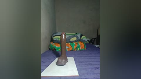 Media: Video of a small, cramped room with a large, realistic brown dildo on a white sheet, resting on a bed covered with colorful, patterned blankets against a plain, dark wall.