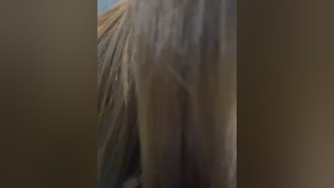A close-up video of a horse's mane, showing the texture of the long, wavy, and slightly coarse strands in various shades of brown. The background is blurred, with a gradient of brown and beige hues.