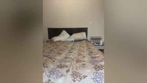 Video of a dimly lit bedroom with a beige wall, a bed covered with a patterned beige and brown duvet, and two pillows at the head. A nightstand with a lamp and a red object is visible on the right.