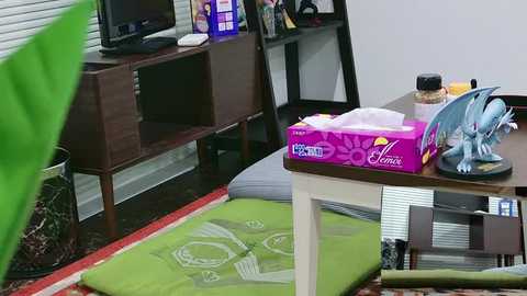 Video of a messy, cluttered bedroom with a TV on a wooden cabinet, a green mat, a pink Kleenex box, and a blue dragon figurine on a desk.