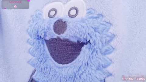 A video of a blue, fluffy, cartoonish dog's face, with big, round eyes, a black nose, and a wide, smiling mouth, stitched onto a white towel, captured in a video recording.
