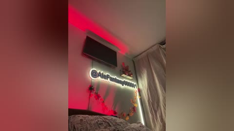 Video of a dimly-lit bedroom with a white bed, red LED strip lights, a TV mounted on the wall, and a floral garland.