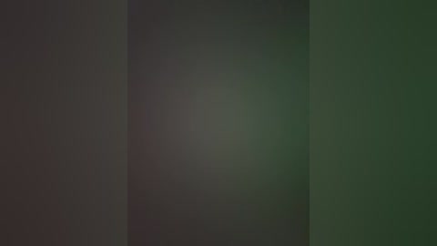 A digital image with a blurred, dark background transitioning to a lighter green on the right, suggesting a minimalist, abstract aesthetic with no discernible objects or figures.