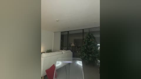 Video of a modern, minimalist living room with a white sofa, red pillow, glass coffee table, and a large green potted plant near a sliding glass door.