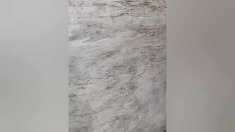A video of a marble countertop with swirling white and gray veins, set against a plain, light-colored wall. The texture of the marble is smooth with subtle variations.
