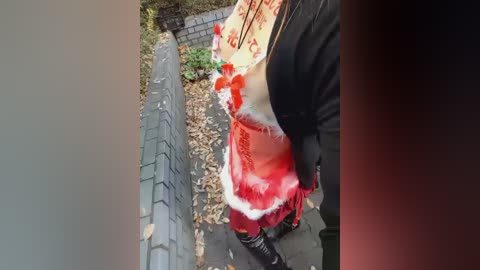 A video captures a person dressed in a festive Santa Claus costume, standing beside a brick wall and holding a red and white gift bag. The image has a muted, sepia-toned filter applied.