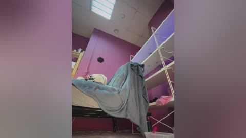 Video of a small, dimly lit room with a single bed, covered in a light blue blanket, and a white metal bunk bed with pink bedding. The walls are painted in a deep purple hue, and there's a skylight above.