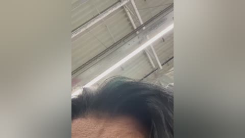 Video of a close-up of a person's head with dark hair, viewed from above, inside a dimly lit room with exposed ceiling beams and fluorescent lights.