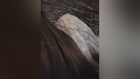 A close-up video of a dead fish on a dark, textured surface, possibly a rocky riverbed. The fish's scales are visible, and its body is slightly curved. The background is blurred, emphasizing the fish.