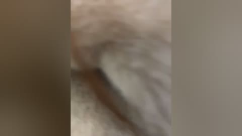 The image is a blurred video featuring two individuals, possibly in an intimate setting, with indistinct, muted colors suggesting a soft, natural lighting environment. The background appears to be a plain, beige wall.