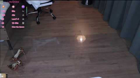 A video of a bedroom floor with a leopard-print rug, wooden floor, and a desk with a chair. The background features dark curtains and a pink digital clock.