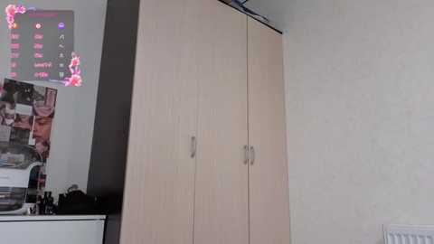 Video of a tidy, modern bedroom with a light wood wardrobe, white wall, and a framed family photo on the left. A small TV is visible on the right.