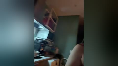 Video of a dimly lit kitchen with a white cabinet above a counter, cluttered with various items, including a small plant, and a person's arm visible in the background.