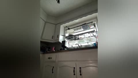 Video of a compact, white kitchen with a small window over the sink. The window reveals a neatly arranged dish rack holding utensils and dishes. Cabinets with black handles line the walls.