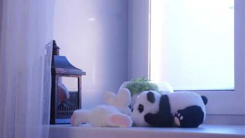 A video of a white and black panda plush toy lying on a windowsill, next to a lantern and green plant, in a softly lit room with white walls and sheer curtains.