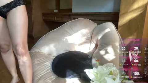 A video shows a pale-skinned woman in black lace lingerie, bending over a beige beanbag chair with a black cat, sunlight casting shadows. A digital overlay displays fitness metrics.