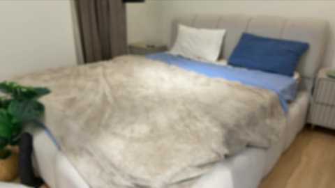 Video of a neatly made bed with a beige and blue bedspread, two white pillows, and a green plant in the corner.
