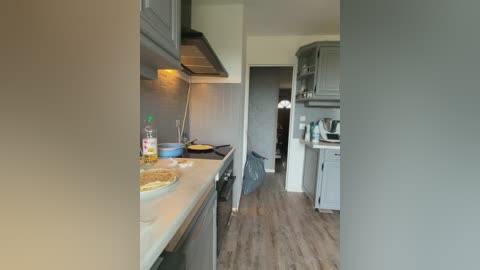 Video of a modern kitchen with light grey cabinets, wooden flooring, a countertop with cooking utensils, and a visible doorway leading to a hallway.