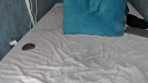 Video of a neatly made bed with a white quilt and a blue pillow, against a textured blue wall. A power cord is visible on the left side.
