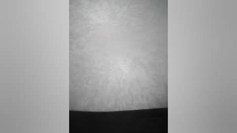 This is a black-and-white video of a minimalist, monochromatic composition. The image features a central vertical column with a textured, slightly grainy surface, surrounded by two symmetrical, smooth, light gray borders. The column's texture is soft and blurred, creating a sense of depth and mystery.