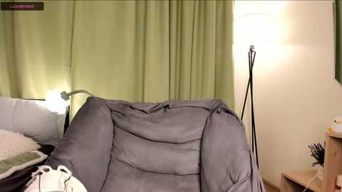 Video of a messy hotel room with a grey couch, green curtains, a white lamp, and a tall lamp.