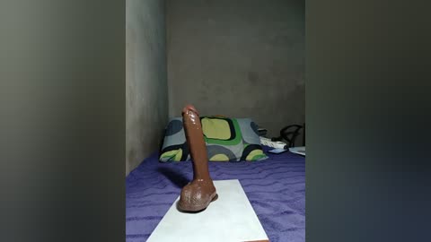 A video of a realistic, brown dildo on a purple bedspread with a green and yellow patterned pillow in a dimly lit, plain bedroom.